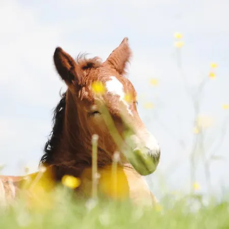 Ferienhaus La Volette Moulins-Saint-Hubert