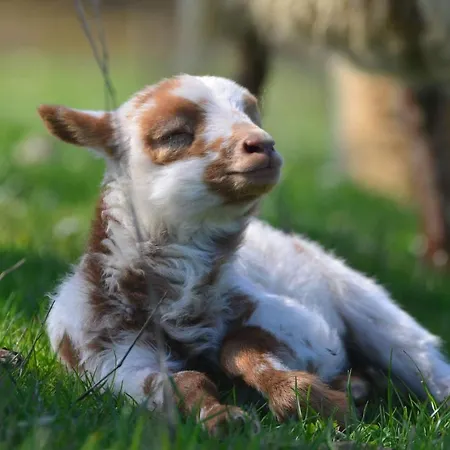 La Volette Ferienhaus