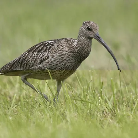Ferienhaus La Volette