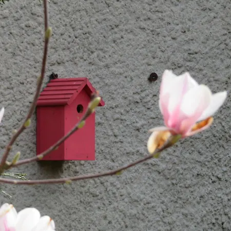 Ferienhaus La Volette *