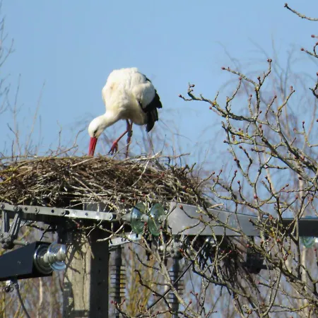 La Volette Moulins-Saint-Hubert