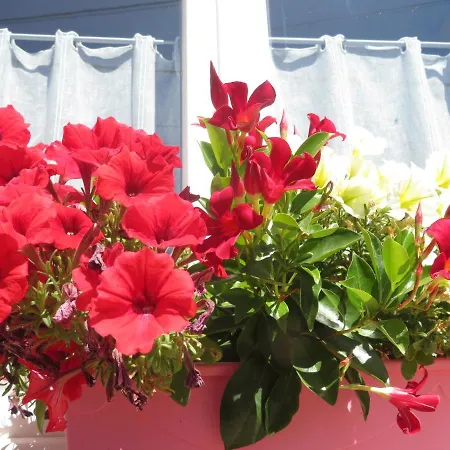 La Volette Ferienhaus Moulins-Saint-Hubert