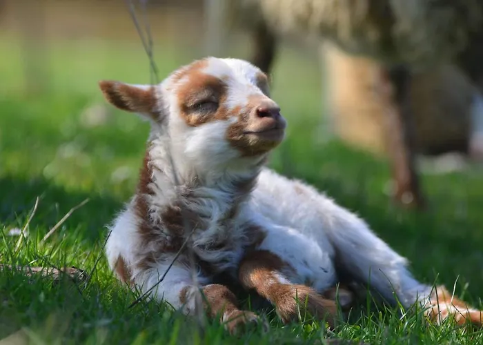 La Volette Сasa de vacaciones