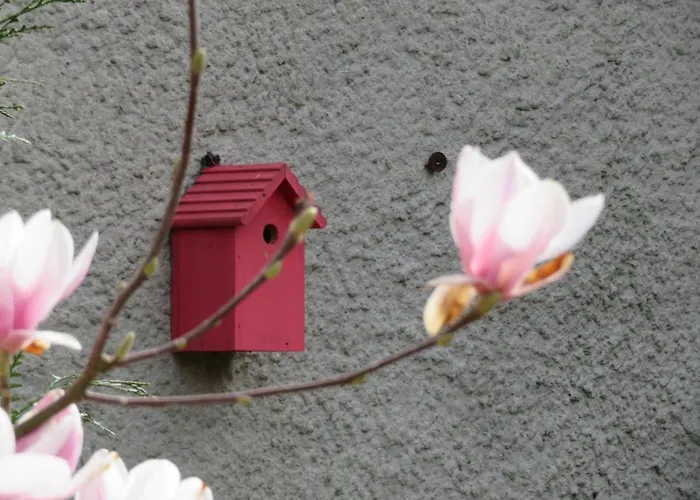 Holiday home La Volette *