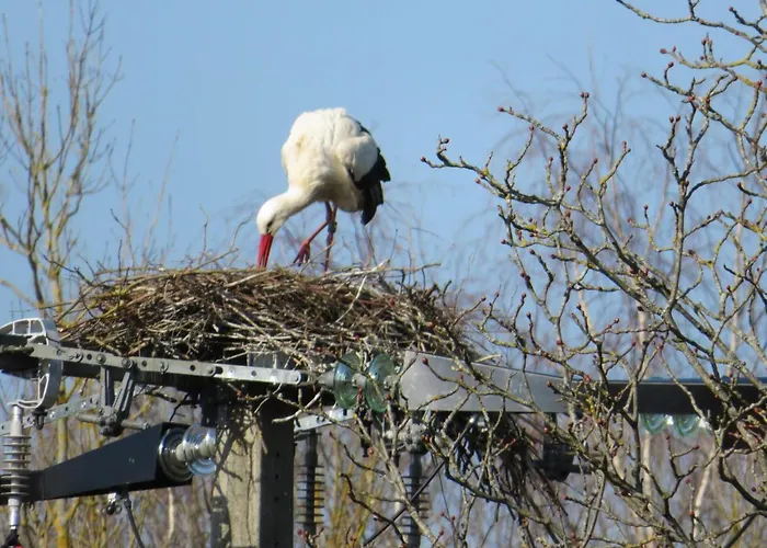 La Volette Moulins-Saint-Hubert