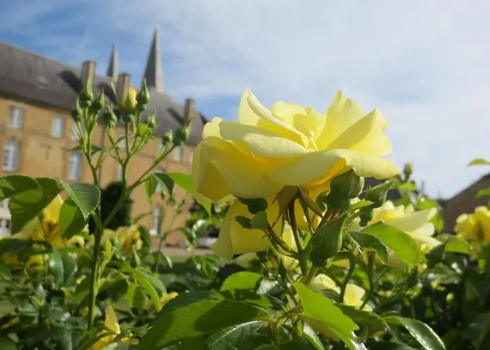 La Volette Сasa de vacaciones *