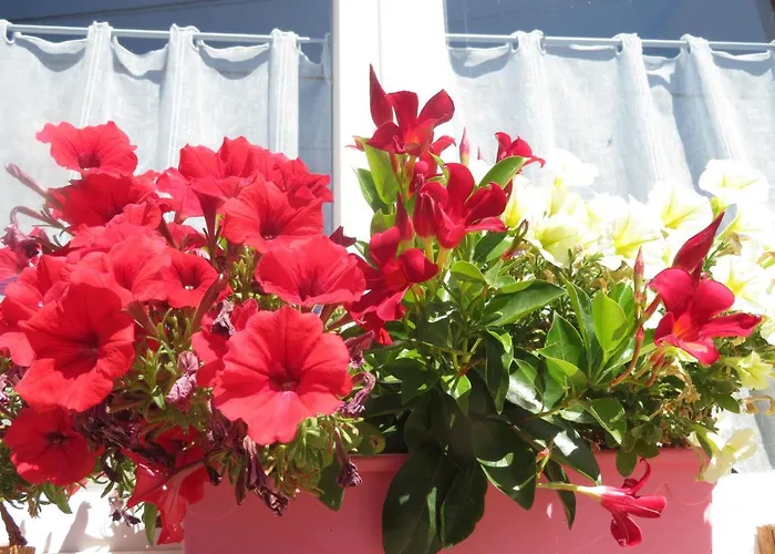 La Volette Сasa de vacaciones Moulins-Saint-Hubert