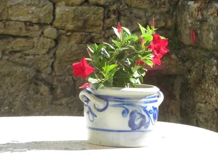 La Volette Сasa de vacaciones *