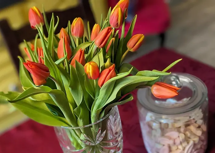 Сasa de vacaciones La Volette